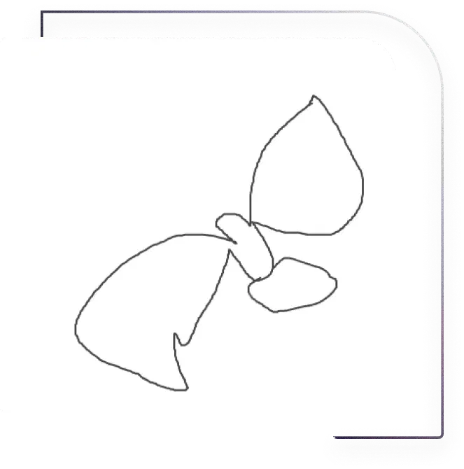 python image